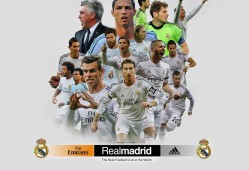 半岛体育app-今晚WTT冠军赛前瞻：张本智和伤情更新，辽宁男篮冲击连败纪录